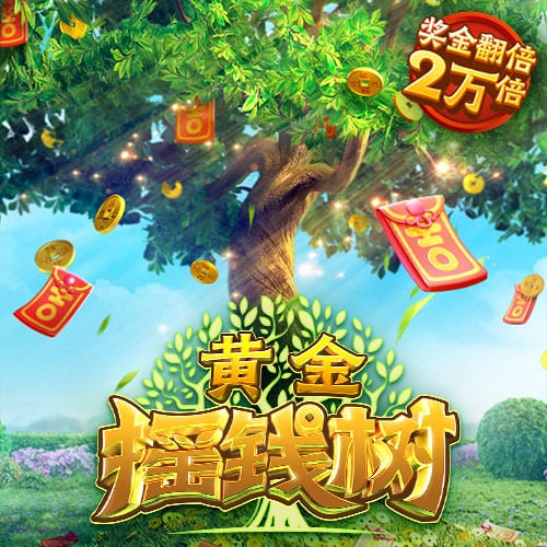 xingkong.app桌面版客户端