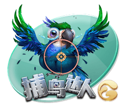 xingkong.app2025最新版